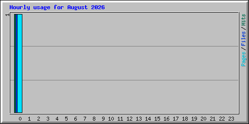 Hourly usage for August 2026
